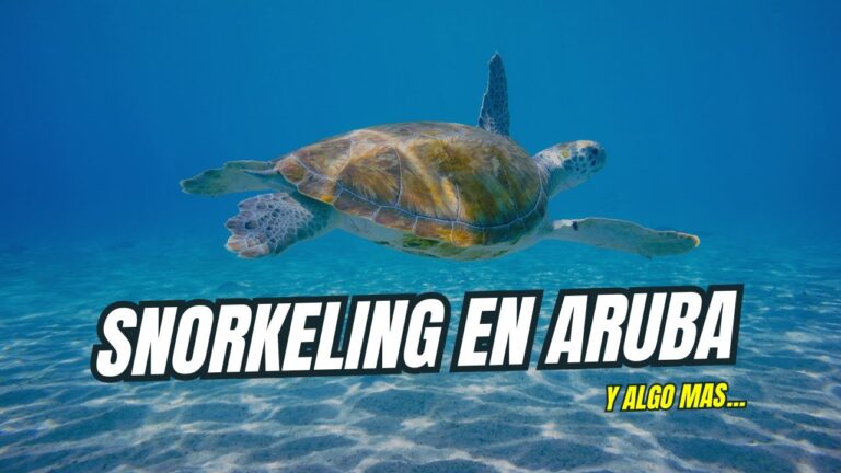 Aventura en Las Marinas: Actividades Imperdibles