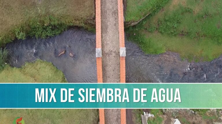 Zonas con Mayor Densidad de &Aacute;rboles en Aguadulce