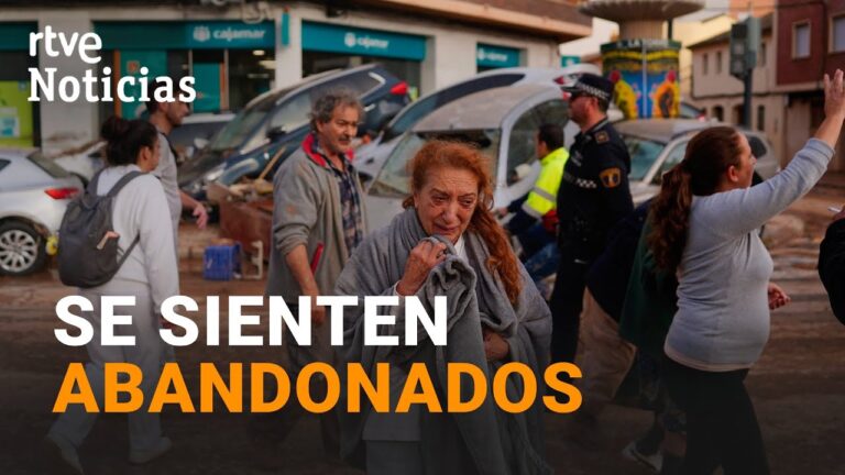 Opciones de voluntariado en Vícar