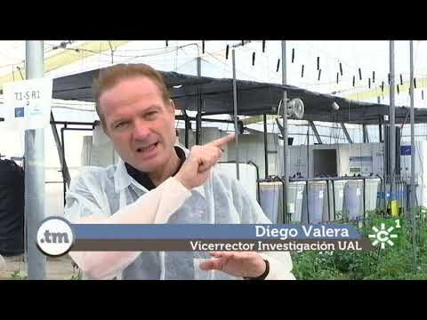 Calidad del Agua en El Solanillo: An&aacute;lisis y Perspectivas