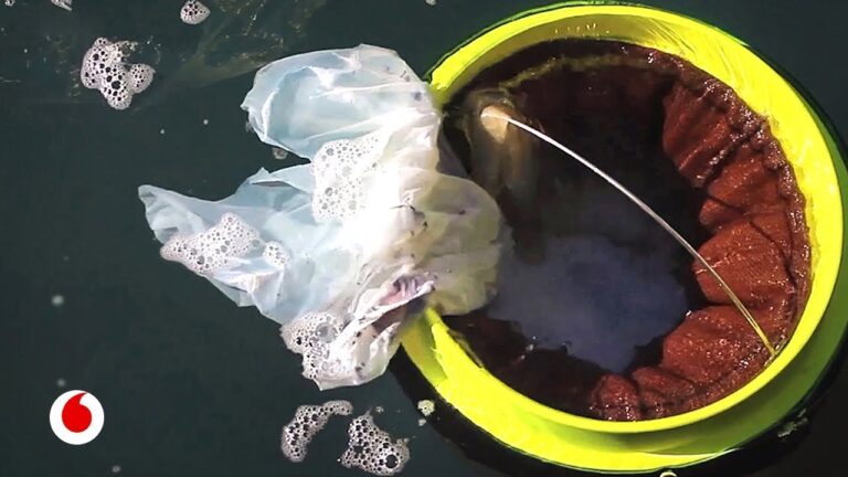 Gu&iacute;a de compras: Alimentos ecol&oacute;gicos en Las Marinas