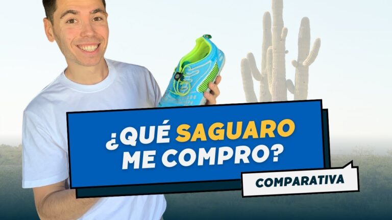 Dónde encontrar ropa de marca en Enix