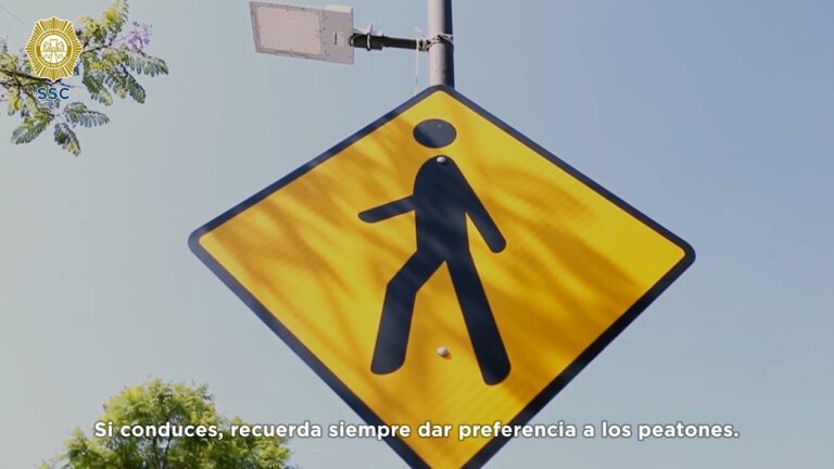 Normas de Seguridad para Eventos en Las Salinas